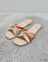 Criss-Cross Slides